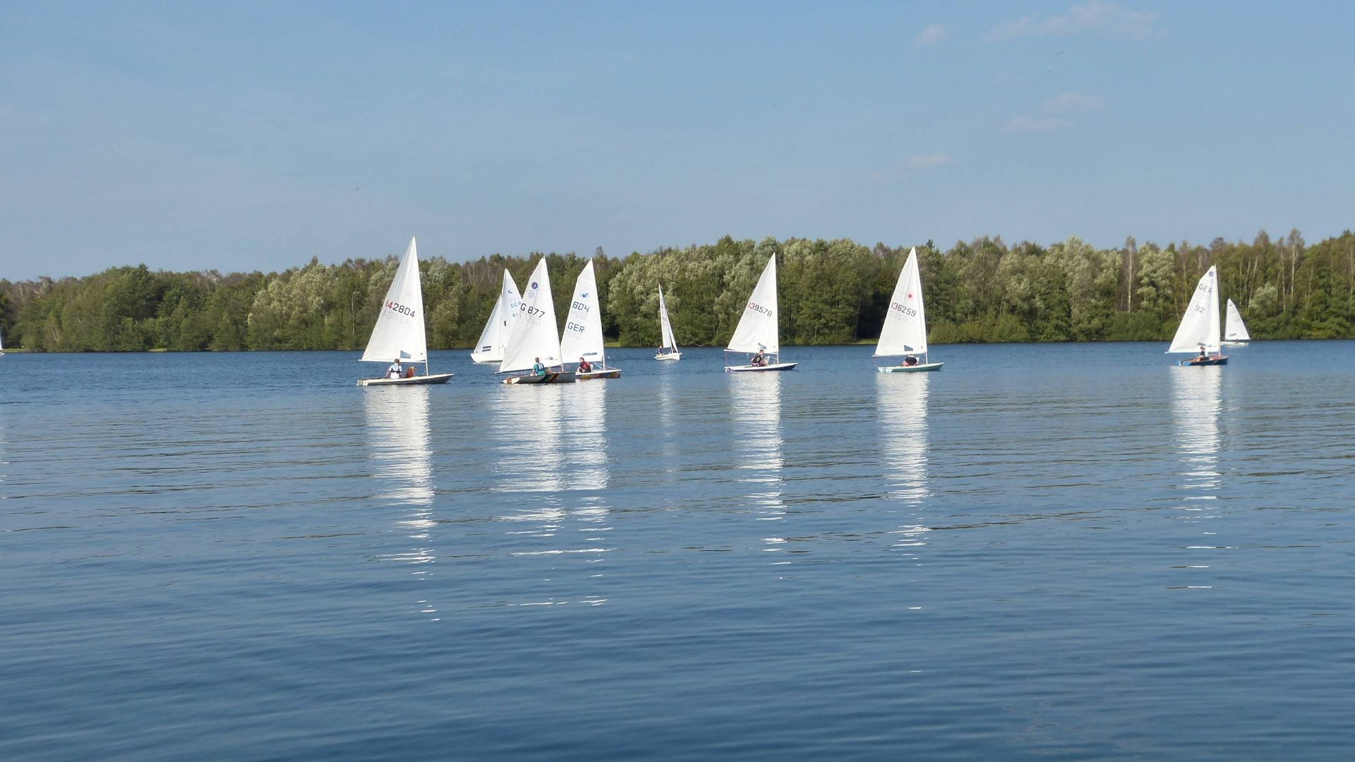 Seeblick: Urlaub am See in NRW Segelboote auf ruhigem See vor bewaldetem Ufer bei klarem Himmel