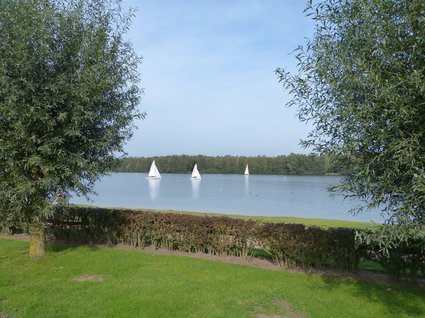 Seeblick: Urlaub am See in NRW Drei Segelboote auf einem ruhigen See mit grünem Ufer und Bäumen