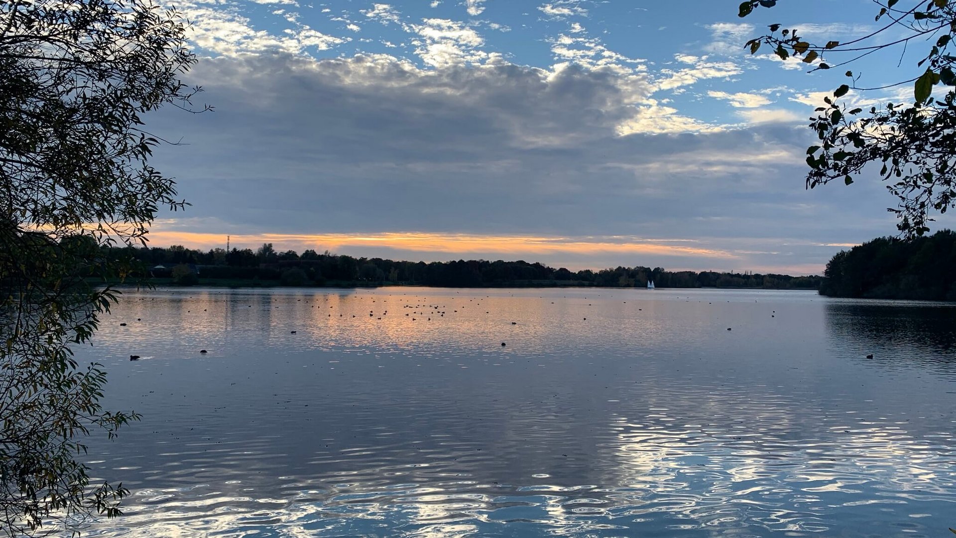 Seeblick: Urlaub am See in NRW See mit spiegelndem Himmel und zwei Segelbooten am Horizont bei Sonnenuntergang