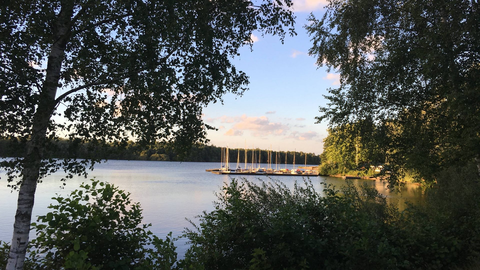 Seeblick: Urlaub am See in NRW Segelboote am Steg eines ruhigen Sees im Abendlicht