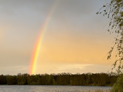 Urlaub im Apartment mit Seeblick Regenbogen über See mit Wald und Weg bei Sonnenuntergang