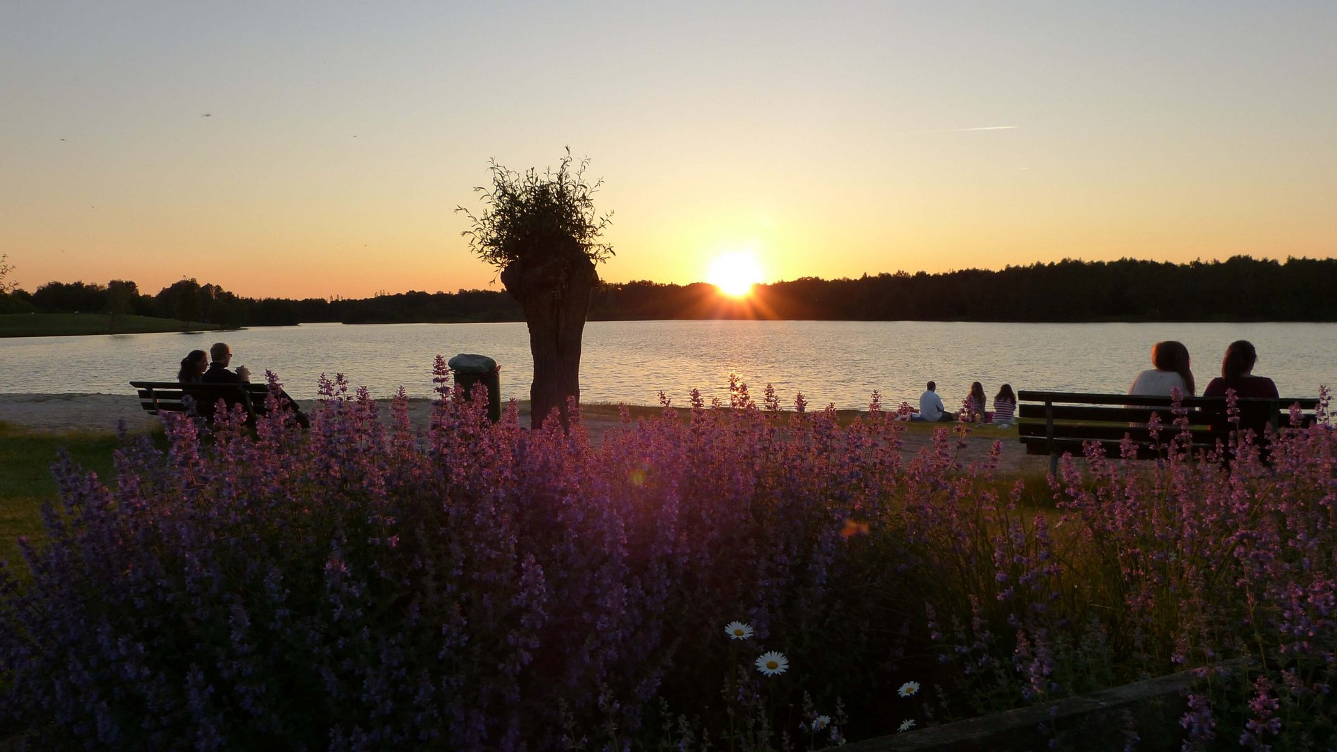 Jobs im Hotel Restaurant Seeblick in Gronau Sonnenuntergang am See mit Blumen und Menschen auf Bänken