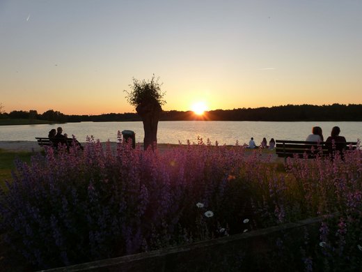 Die kulinarische Fahrradtour durchs Münsterland Sonnenuntergang am See mit Blumen und Menschen auf Bänken
