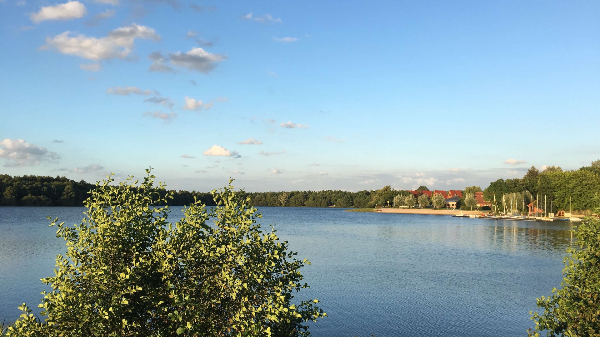 Die kulinarische Fahrradtour durchs Münsterland See mit Büschen im Vordergrund und Häusern am Ufer bei sonnigem Himmel