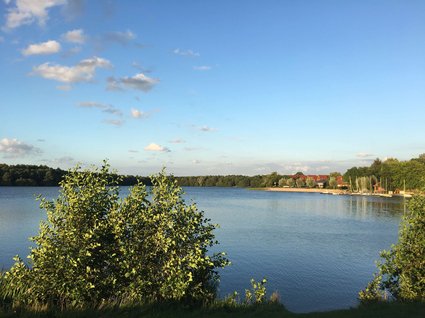 Seeblick Gronau: Urlaub inmitten der Natur See mit Büschen im Vordergrund und Häusern am Ufer bei sonnigem Himmel