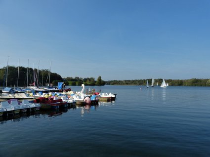 Seeblick Gronau: Urlaub inmitten der Natur Tretboote am See mit Segelbooten und bewaldetem Ufer im Hintergrund